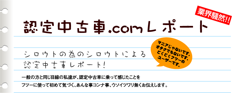 �F�蒆�Î� ���|�[�g
